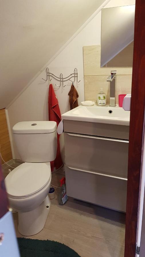 Skoczów Turystyczny Apartament Na Poddaszu מראה חיצוני תמונה